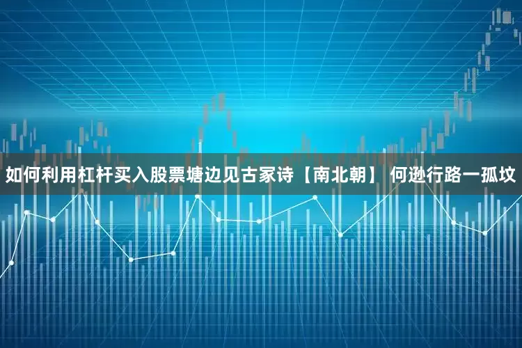 如何利用杠杆买入股票塘边见古冢诗【南北朝】 何逊行路一孤坟