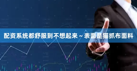 配资系统都舒服到不想起来～表面是猫抓布面料