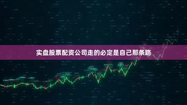 实盘股票配资公司走的必定是自己那条路